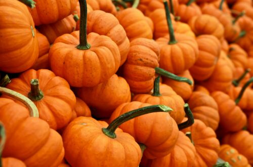 Pumpkins - Photo by Gabby Orcutt on Unsplash